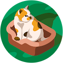 Faye chan profile picture